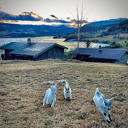 Lomen Gardshytter, Valdres Holiday home *